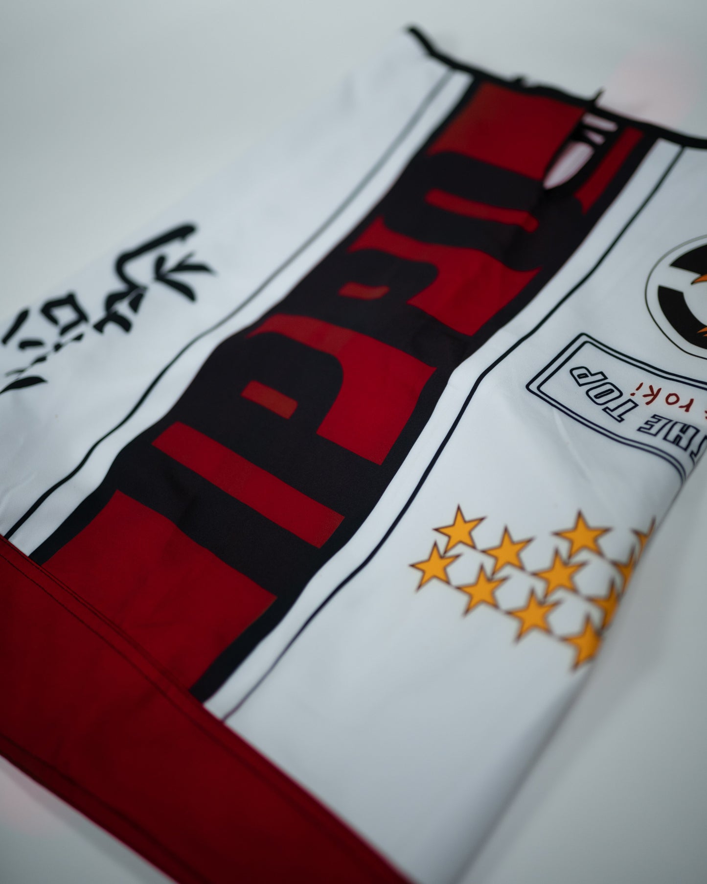 Ippo Fight Shorts