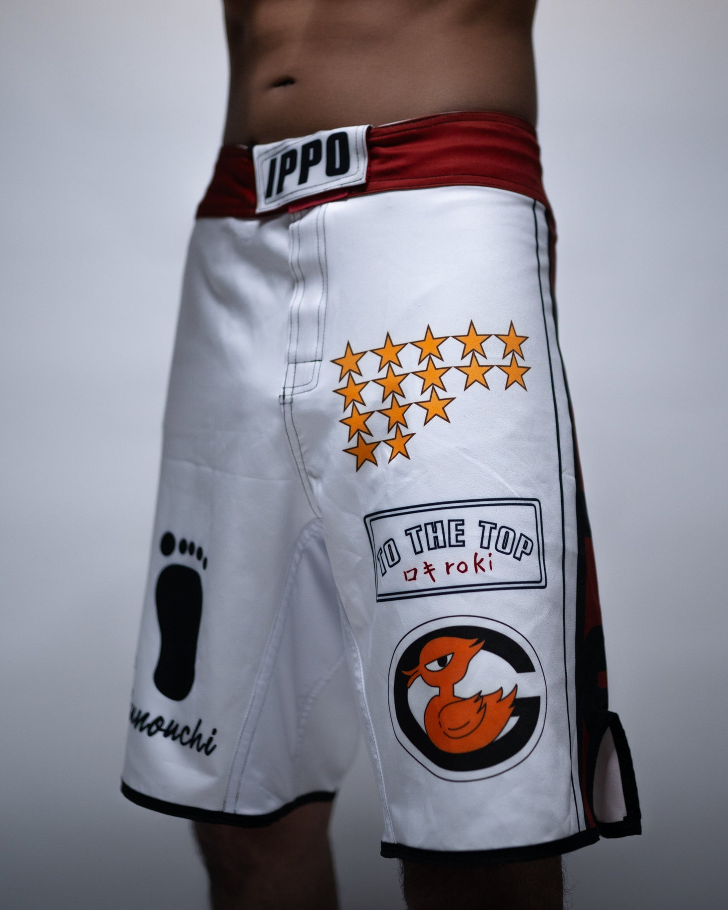 Ippo Fight Shorts