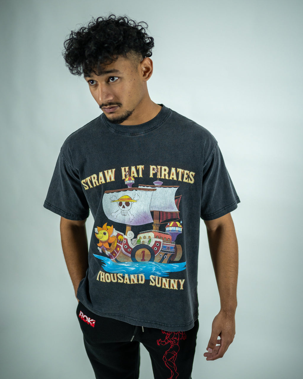 Thousand Sunny Pump Cover