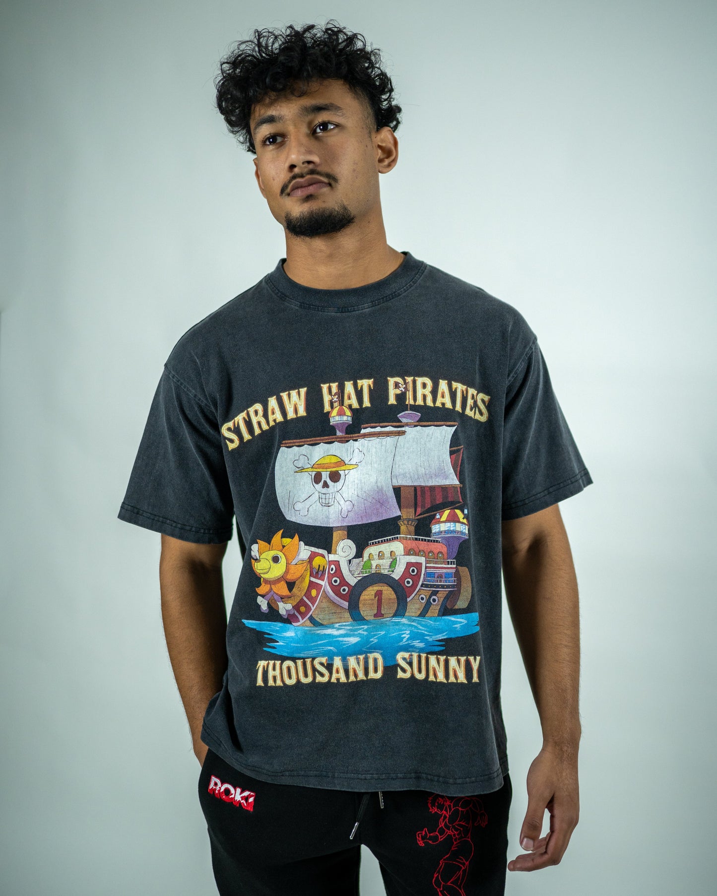 Thousand Sunny Pump Cover