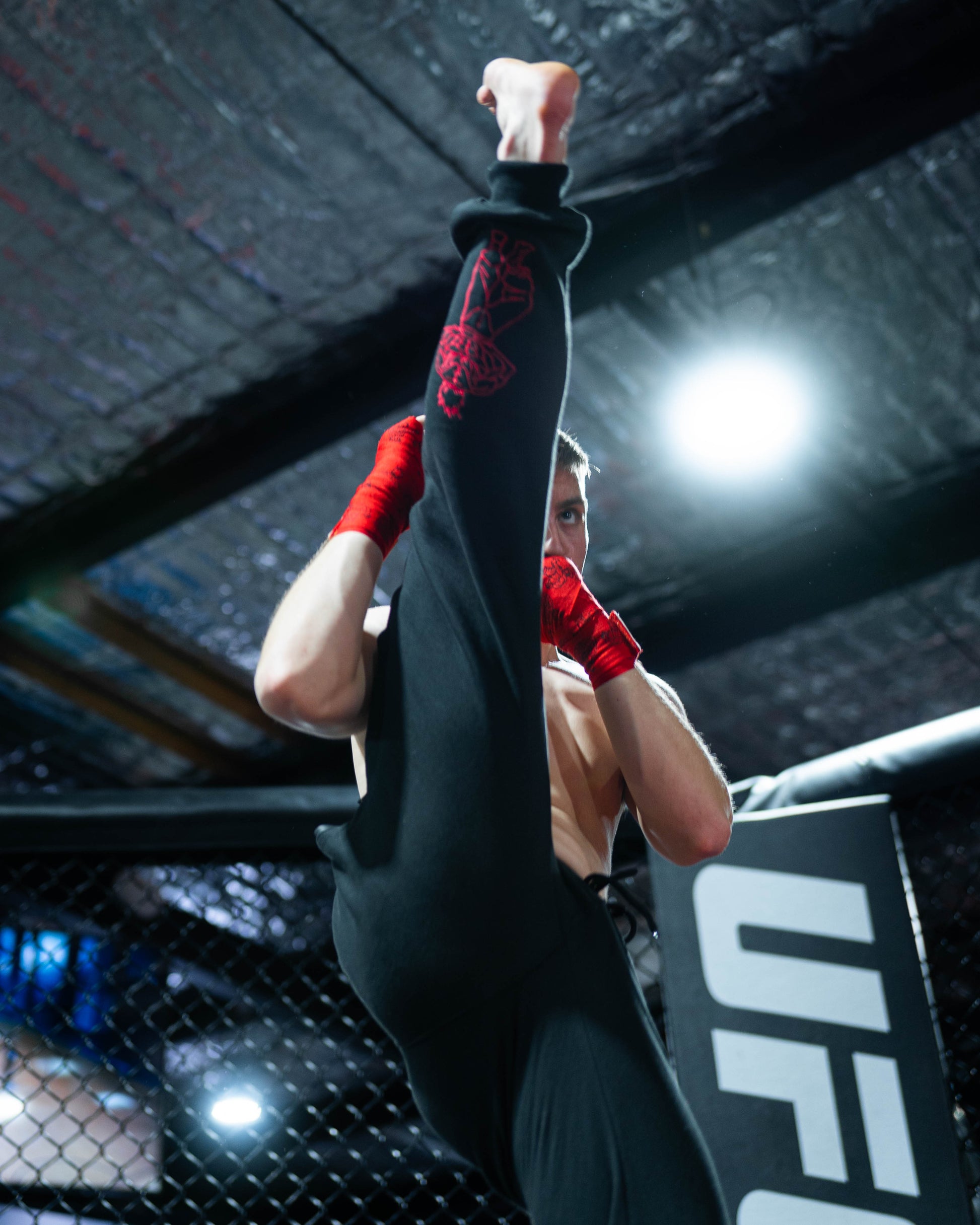 Fighter in UFC cage performing high kick wearing Grappler Joggers with visible red demon back embroidery on cal